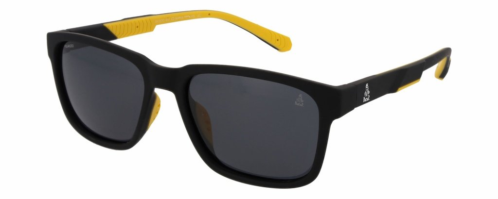 DA 10010/613 SUN